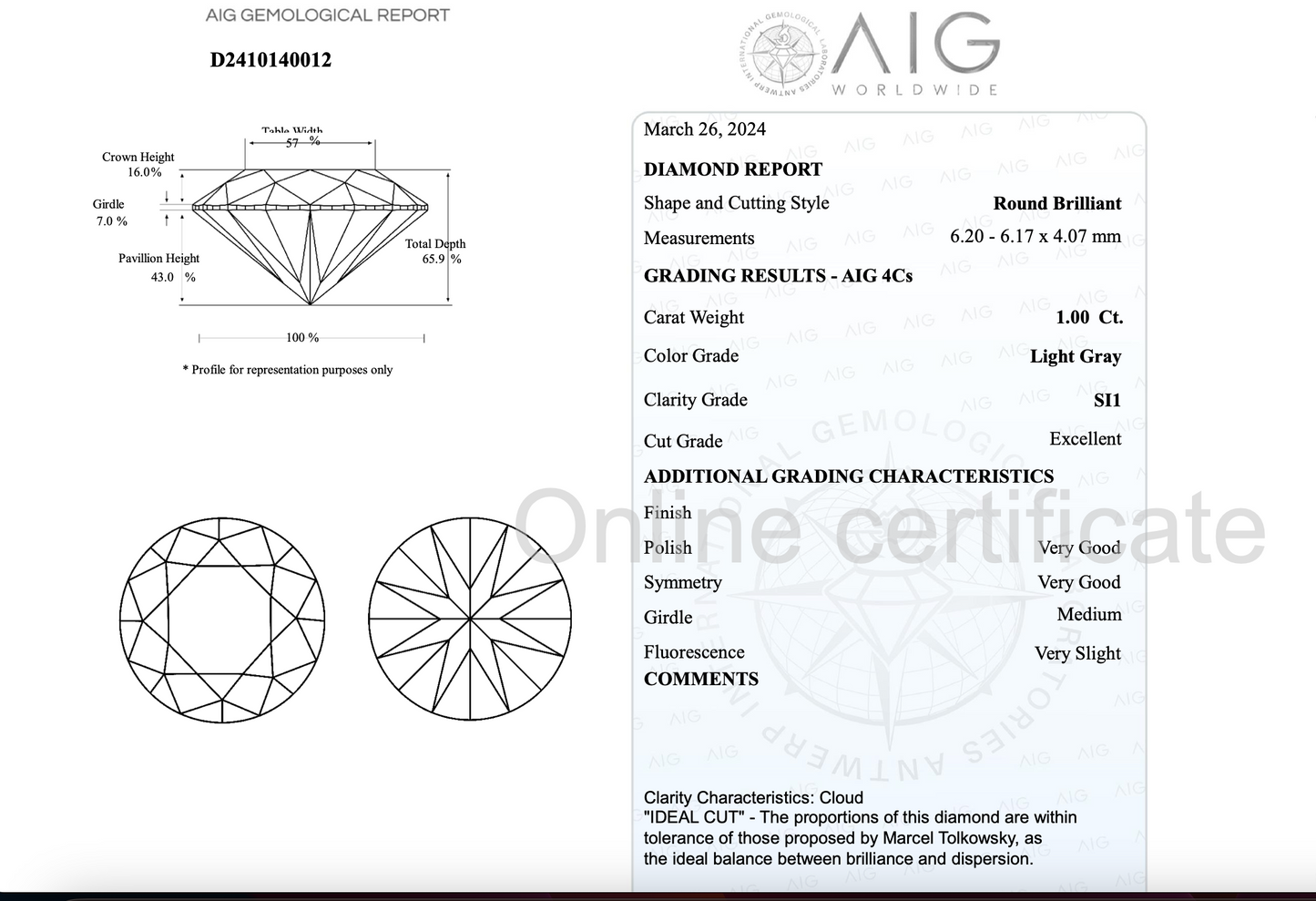 Round Natural Diamond 1ct Light Gray
