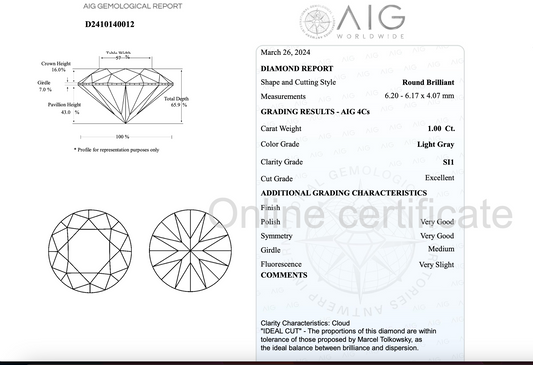 Round Natural Diamond 1ct Light Gray